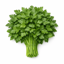 Fresh parsley